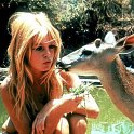 brigitte-bardot-010