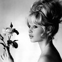 brigitte-bardot-175