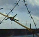 Mediterranee